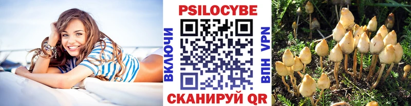 Галлюциногенные грибы Psilocybe  Купить  Комсомольск 